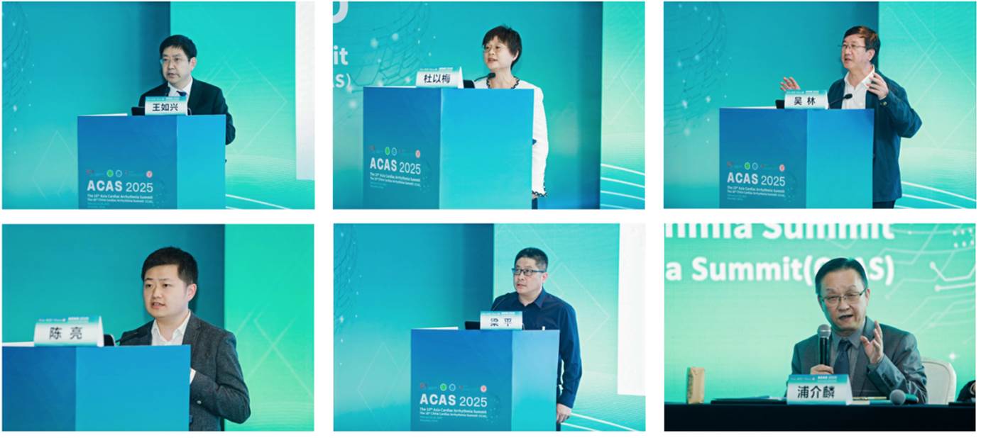 杜以梅 吴林 王如兴 ACAS 2025 陈亮 浦介麟 ACAS 2025