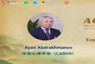 alternative
